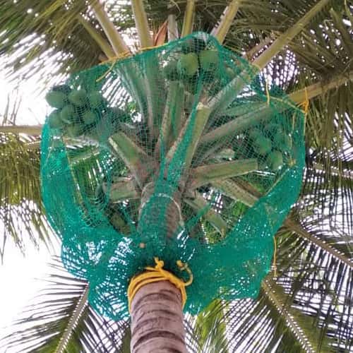 Balcony Safety Nets in Hyderabad